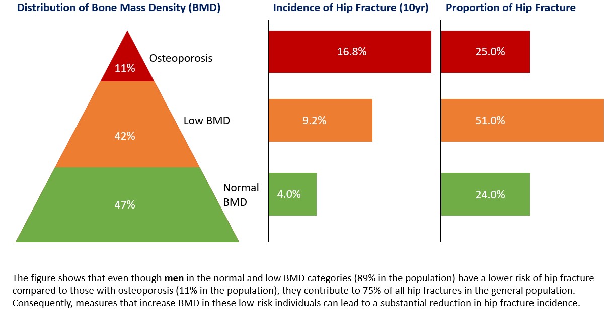 Hip Fracture Risk Reduction: The Little Big Things And The Prevention 