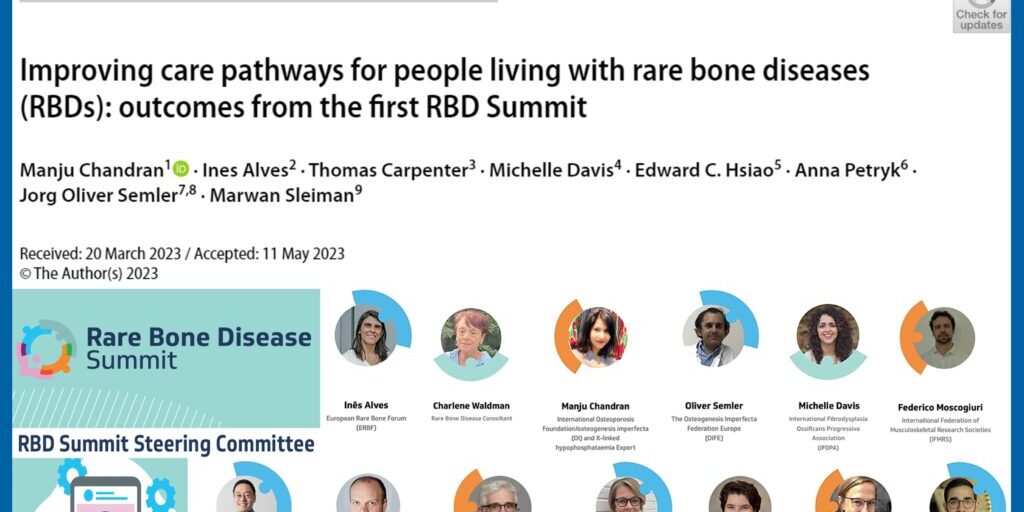 RBD Summit 2021 Blog pic 2